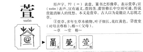 萱字取名